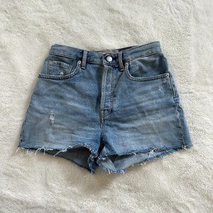 Everlane Cheeky Jean Short